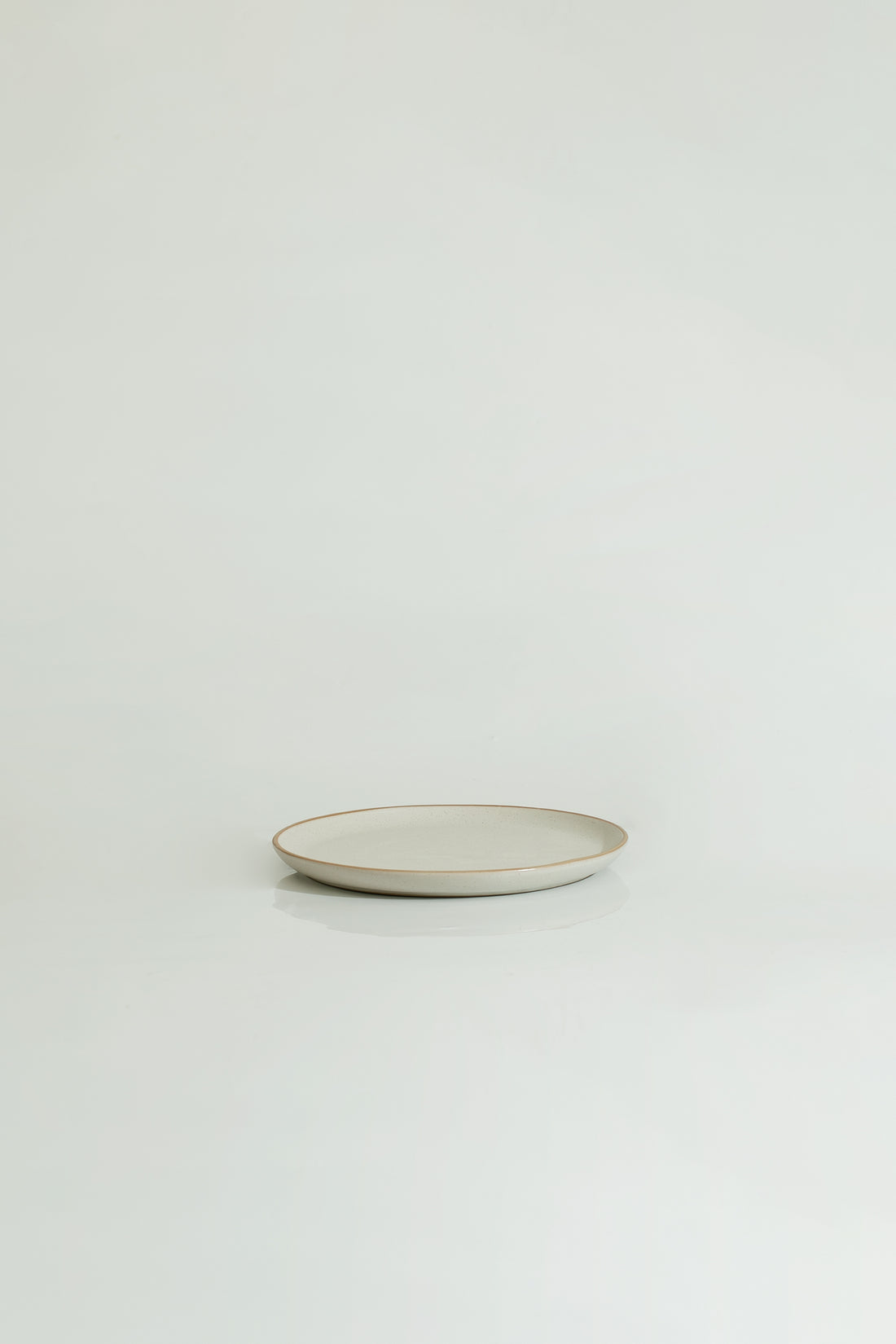 The Entrée Flat Lip Plate